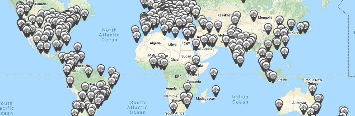 Local meetups for learning and networking